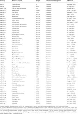 Relationship between miRNA and ferroptosis in tumors